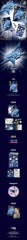 Jin: Jin Challenge Book
